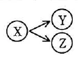 図。実行条件(5)に挿入された関係図。左の円内にX，右上の円内にY，右下の円内にZがあり，XからYとZへそれぞれ矢印が向かう。